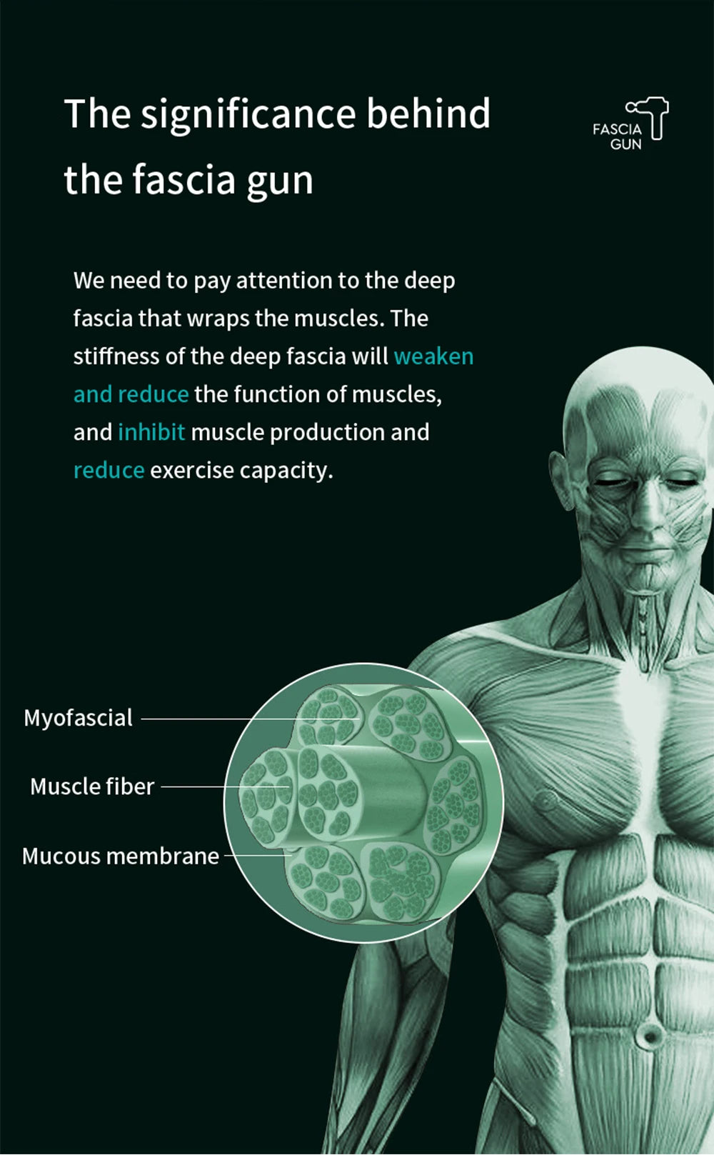 Professionell Massagepistol – 99 Hastigheter för Nacke & Rygg